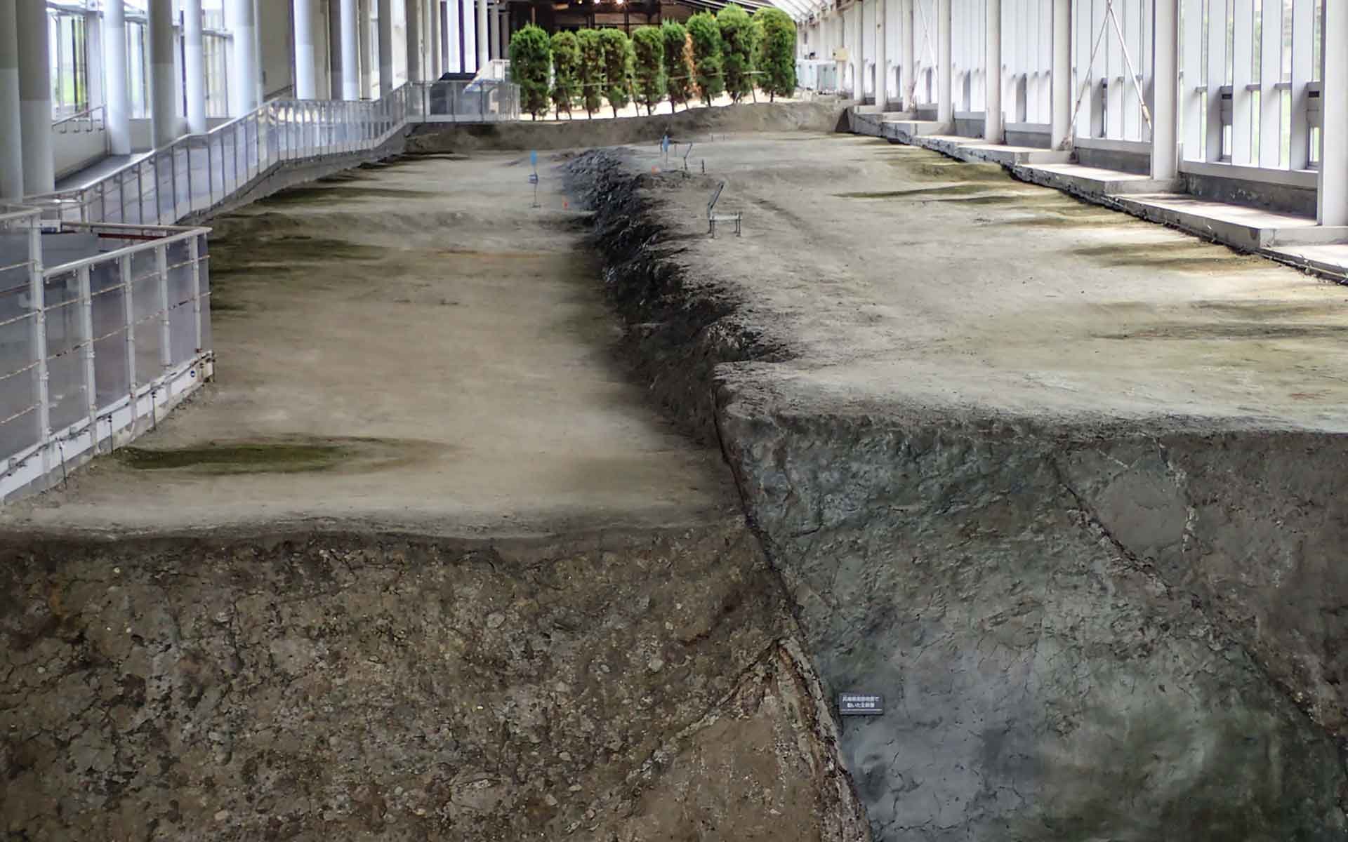 🌍 北淡震災記念公園 野島断層保存館 이미지 3